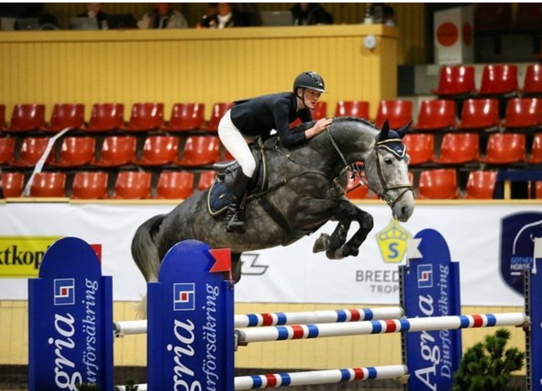 Adento BG, hopphäst